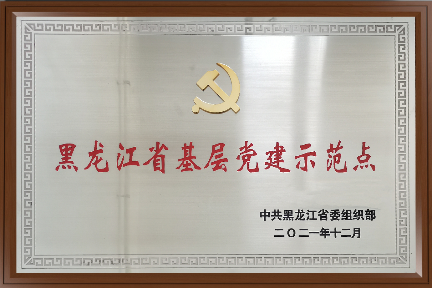 黑龙江省基层党建示范点