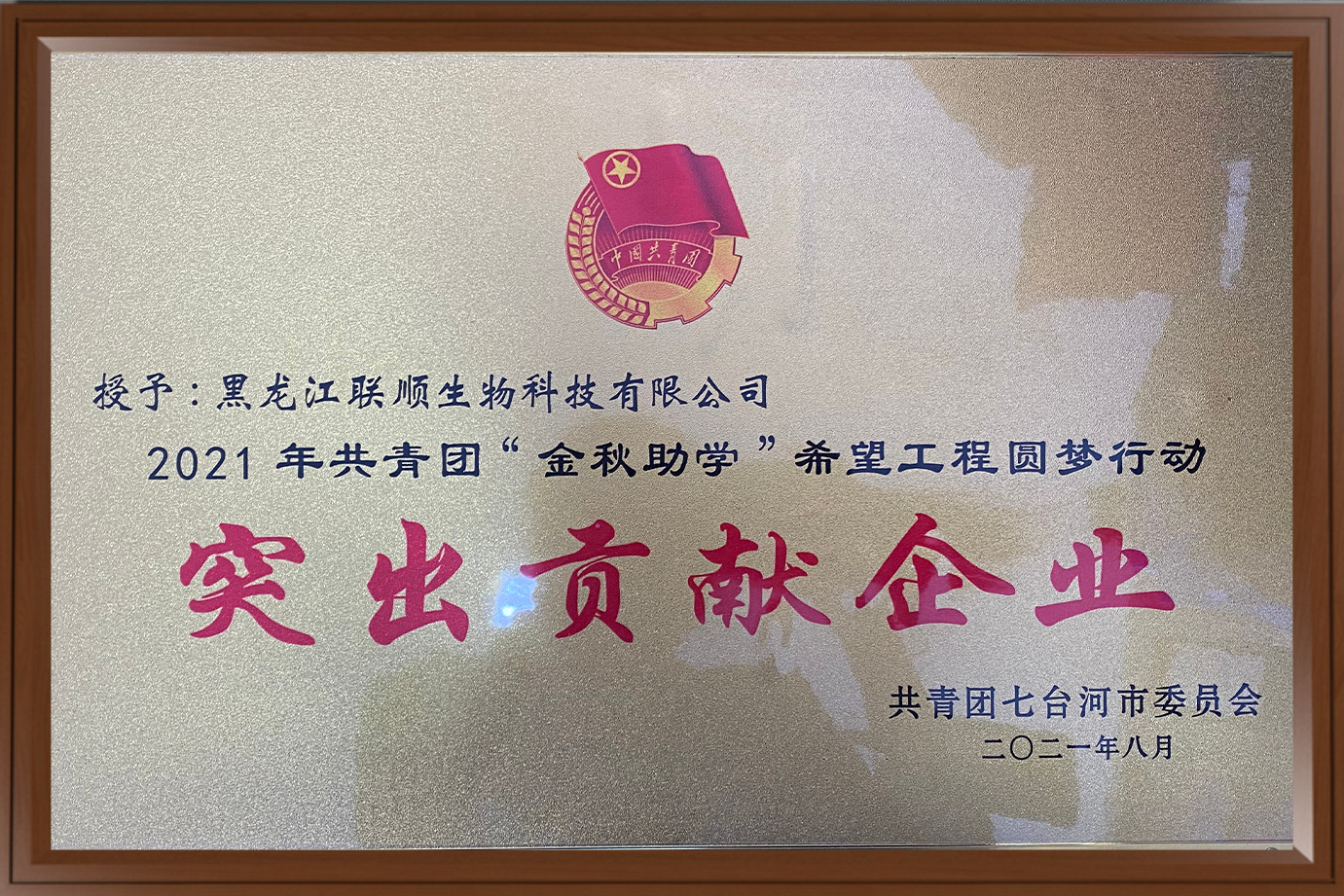 突出贡献企业