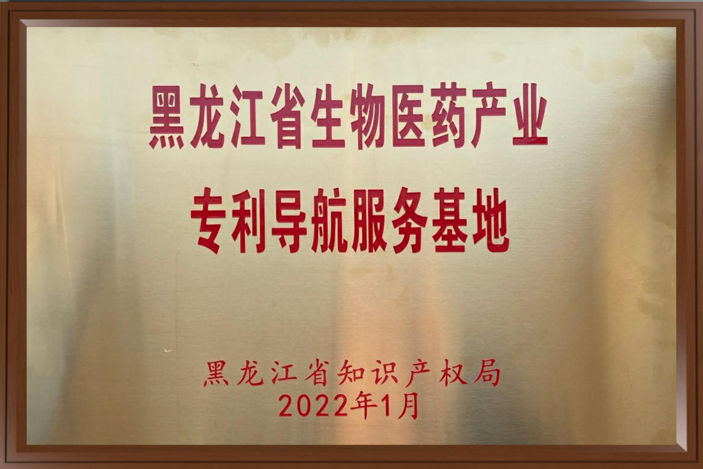 黑龙江省生物医药产业专利导航服务基地