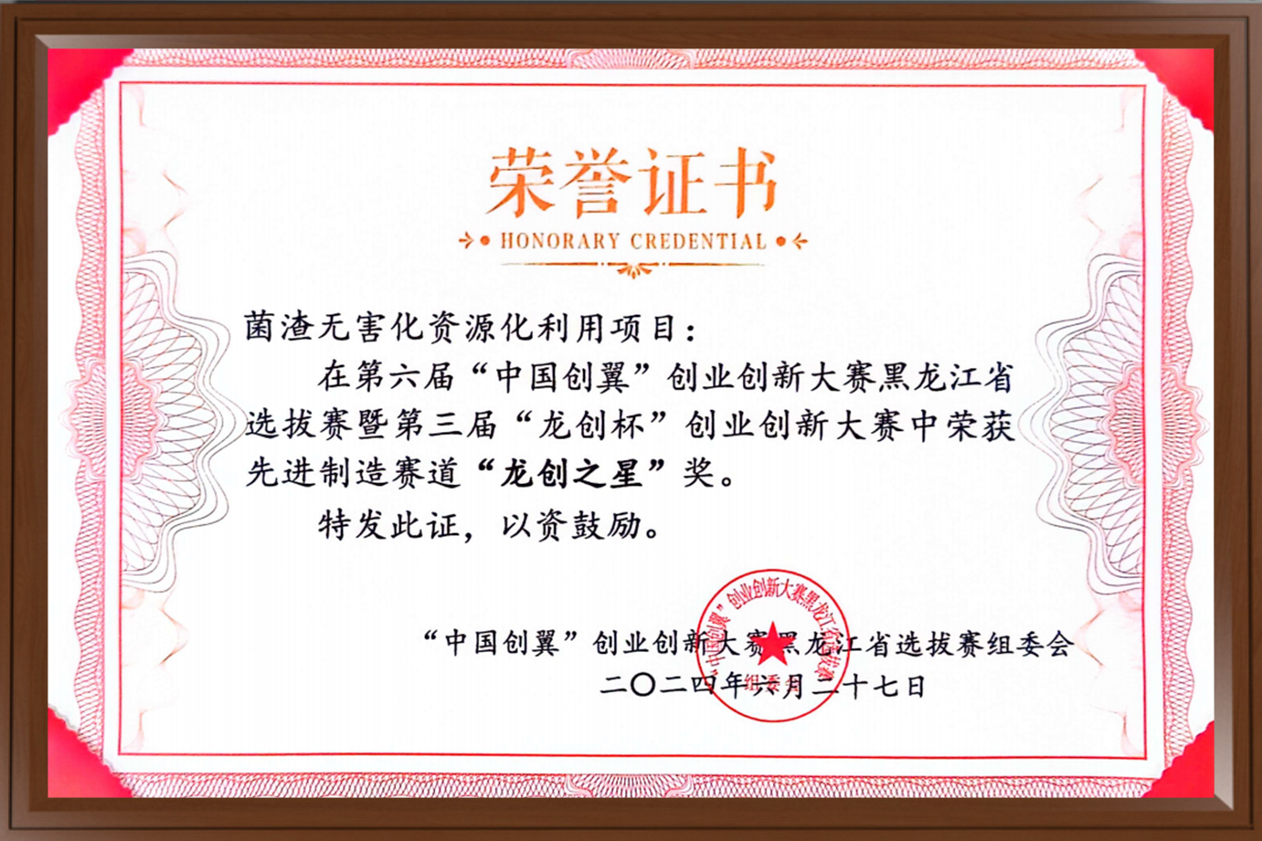 龙创之星