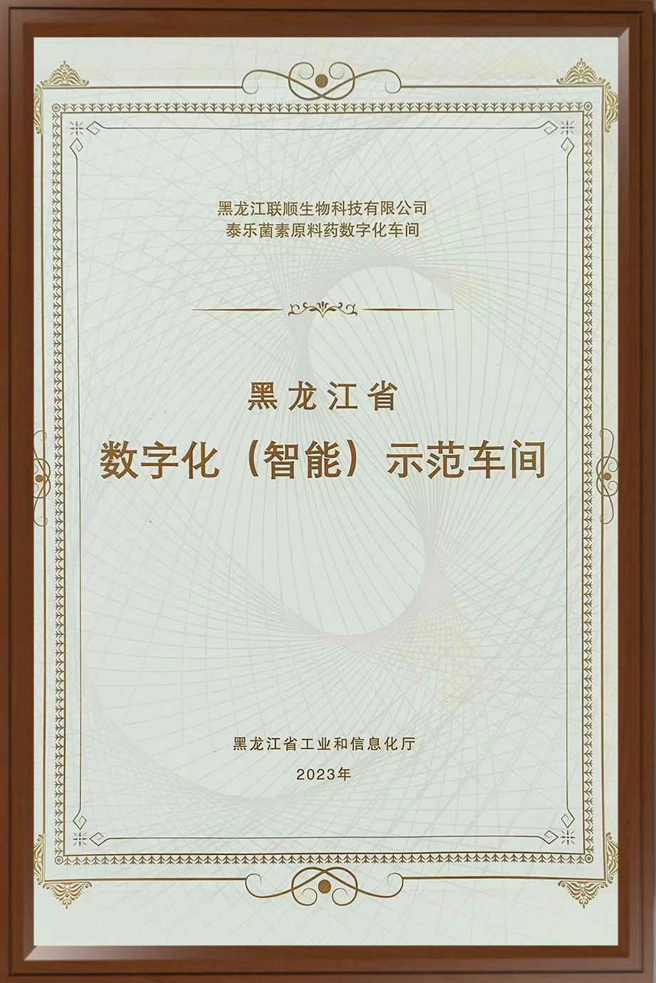 黑龙江省数字化（智能）示范车间