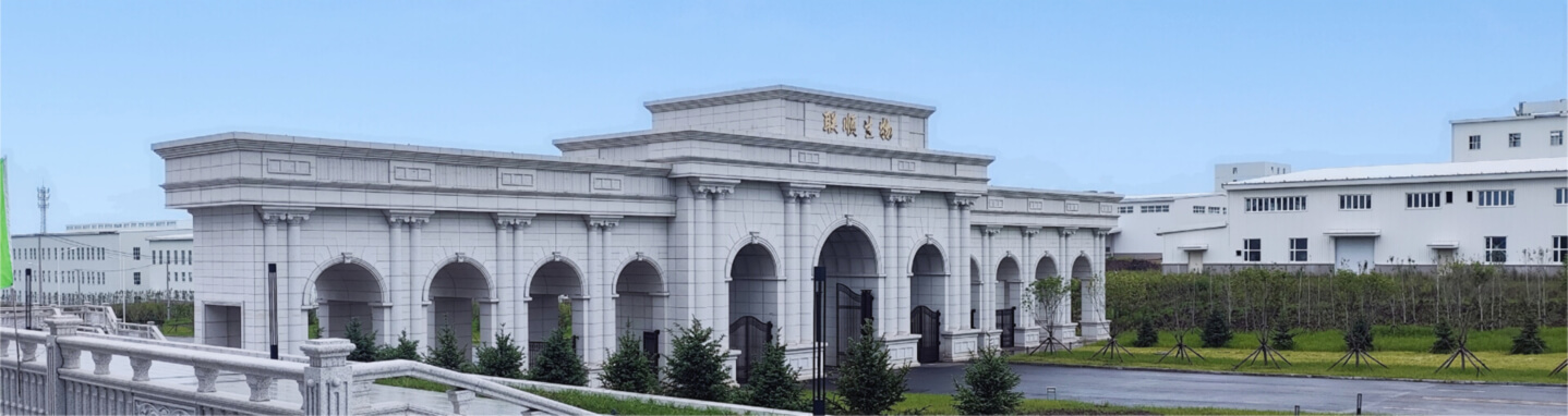 企业简介